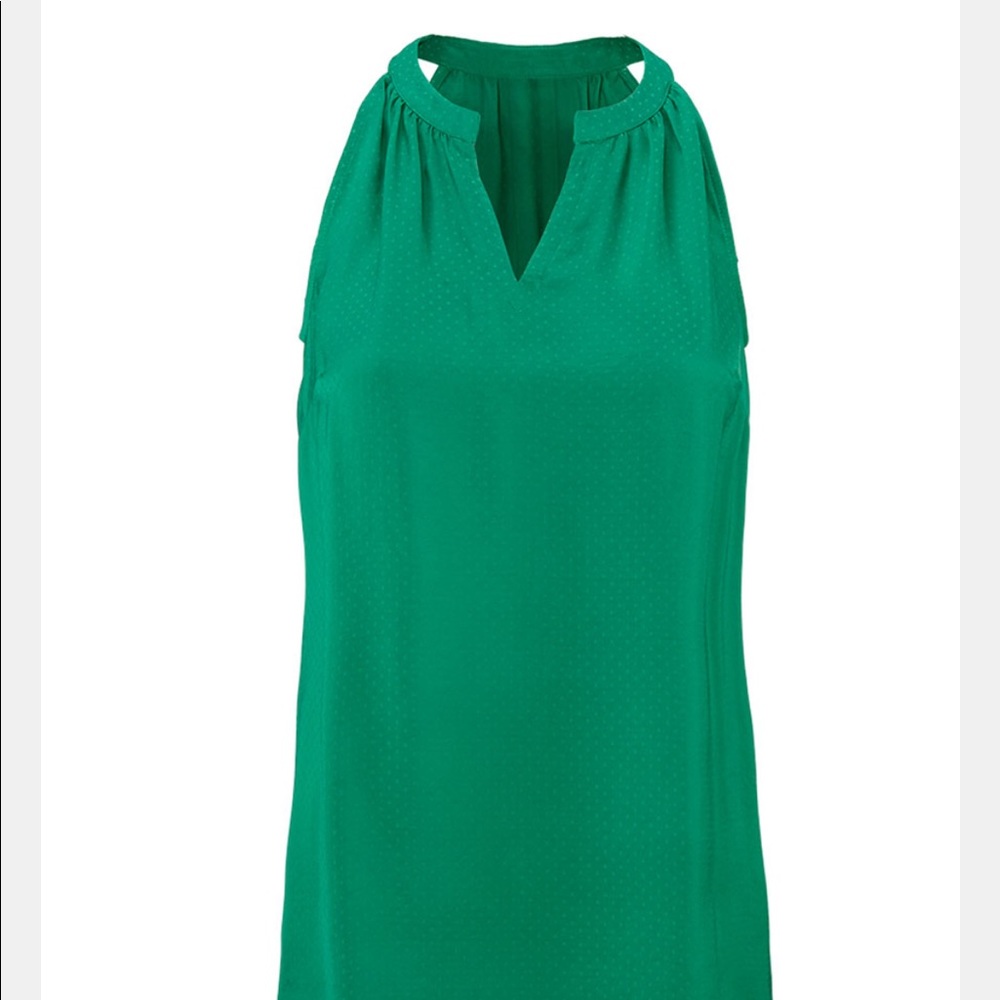 Cabi Lush Blouse